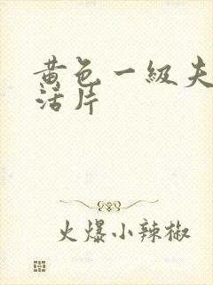 黄色一级夫妻生活片