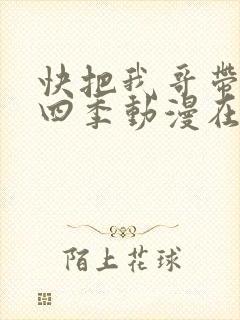 快把我哥带走第四季动漫在线观看