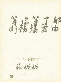等你等了那么久dj劲爆舞曲