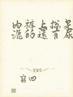 内裤上总是湿漉漉的还有尿骚味怎么回事