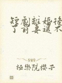 短剧离婚后我成了前妻遥不可及