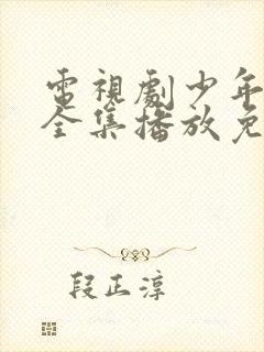 电视剧少年派2全集播放免费封面