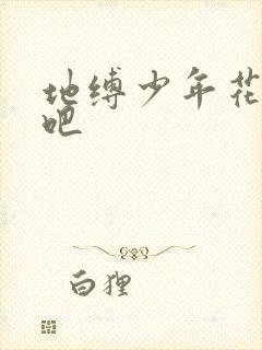 地缚少年花子君吧