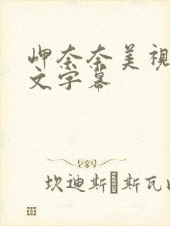 岬奈奈美视频中文字幕