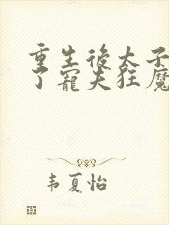 重生后太子妃成了宠夫狂魔