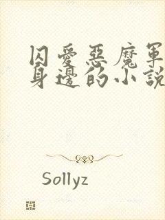 囚爱恶魔军官在身边的小说