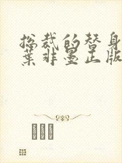 总裁的替身前妻叶非墨正版