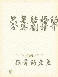 只是结婚的关系分集剧情介绍