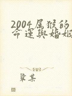 2004属猴的命运与婚姻