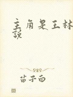 主角是王林的小说