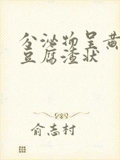 分泌物呈黄绿色豆腐渣状封面