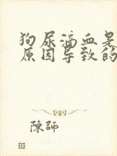 狗尿滴血是什么原因导致的封面