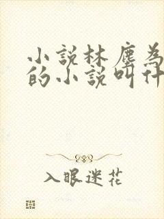 小说林尘为主角的小说叫什么名字