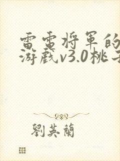 雷电将军的惩罚游戏v3.0桃子移植封面
