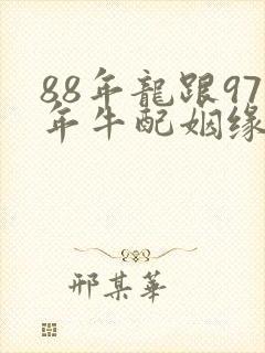 88年龙跟97年牛配姻缘好吗封面