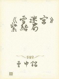 《雪迷宫》姜迎紫结局封面