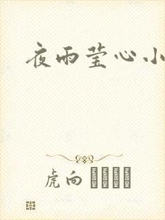 夜雨莹心小说
