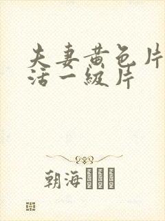 夫妻黄色片性生活一级片