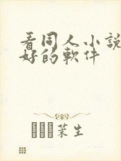 看同人小说比较好的软件