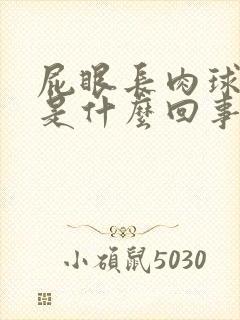 屁眼长肉球出来是什么回事