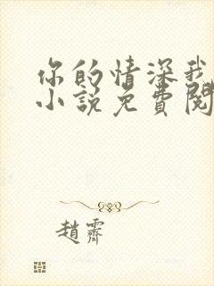 你的情深我不配小说免费阅读封面