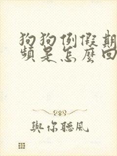 狗狗例假期间尿频是怎么回事