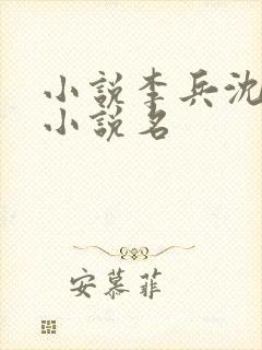 小说李兵沈思的小说名