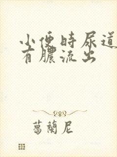 小便时尿道刺痛有脓流出