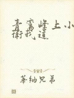 青鸾峰上小说剑卫我道封面