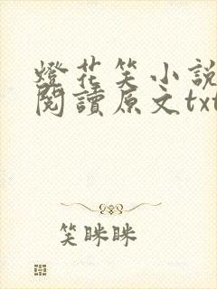 灯花笑小说免费阅读原文txt网盘封面