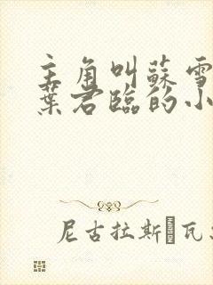 主角叫苏雪儿和叶君临的小说