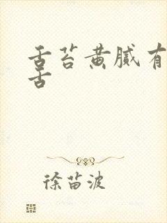 舌苔黄腻有齿痕舌