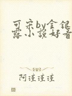 可宋by金银花露小说好看吗