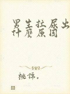 男生拉尿出血是什么原因