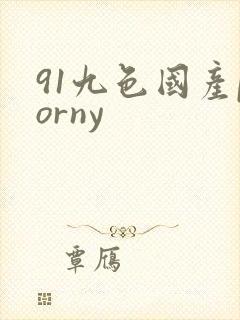 91九色国产porny