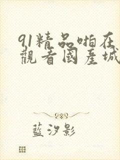 91精品啪在线观看国产城中村
