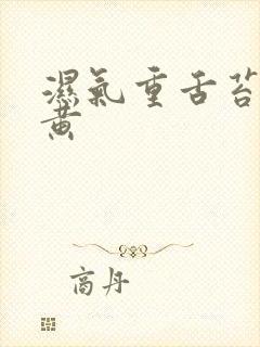 湿气重舌苔白厚黄