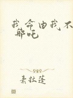 我命由我不由天 哪吒