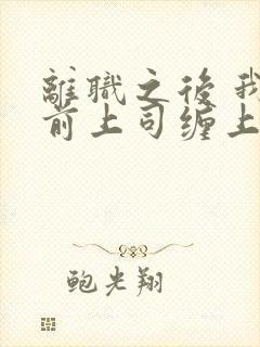 离职之后 我被前上司缠上了短剧封面