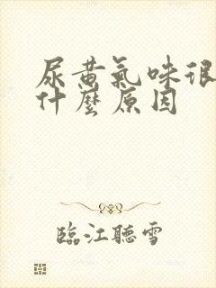 尿黄气味很重是什么原因封面