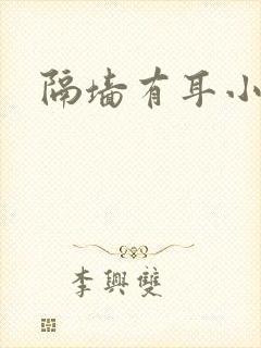 隔墙有耳小说封面