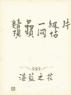 精品一级片内射视频网站封面