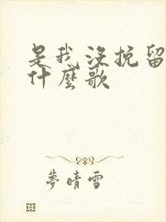 是我没挽留吗是什么歌