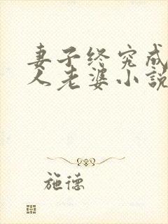 妻子终究成了别人老婆小说