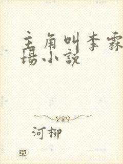 主角叫李霖的官场小说