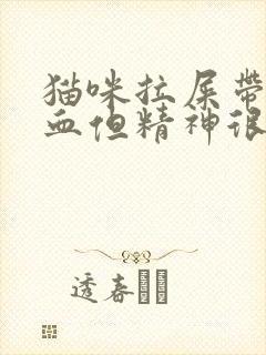 猫咪拉屎带一点血但精神很好