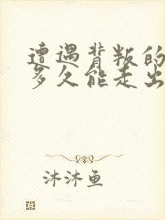 遭遇背叛的女人多久能走出阴影