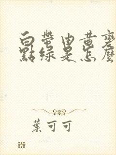 白带由黄变的有点绿是怎么了