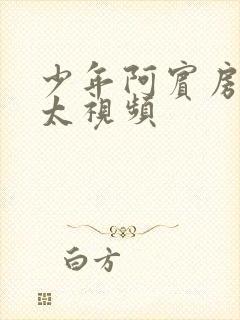 少年阿宾房东太太视频