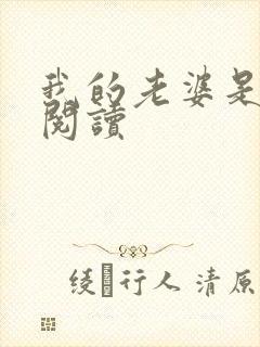 我的老婆是总裁阅读